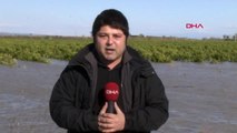 Adana'da Sel Mağduru Çiftçiler, Borçlarına Erteleme İstiyor