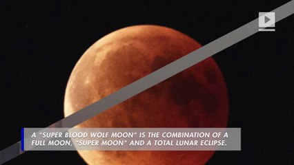 Rare 'Super Blood Wolf Moon' Will Be Visible This Weekend
