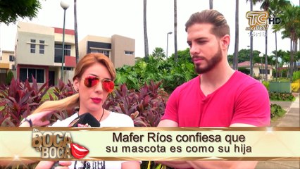 María Fernanda Ríos y su novio “Thor” se encuentran desesperados ya que su mascota está desaparecida