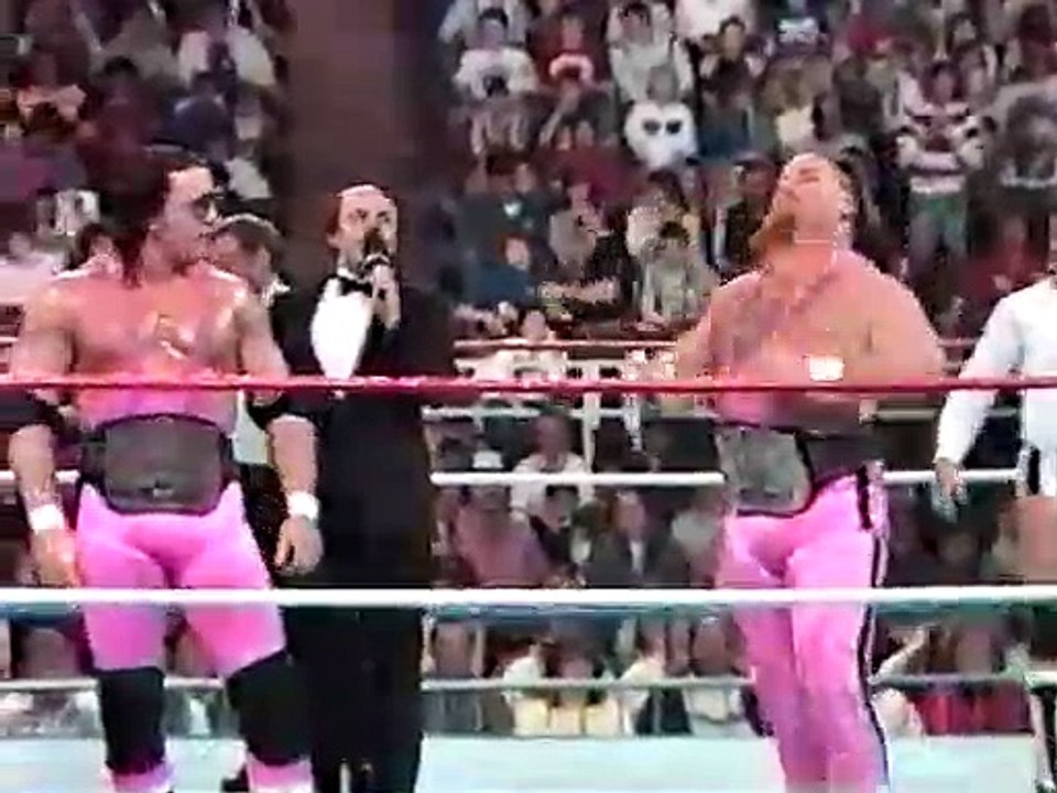 WWF Superstars 03 28 1987