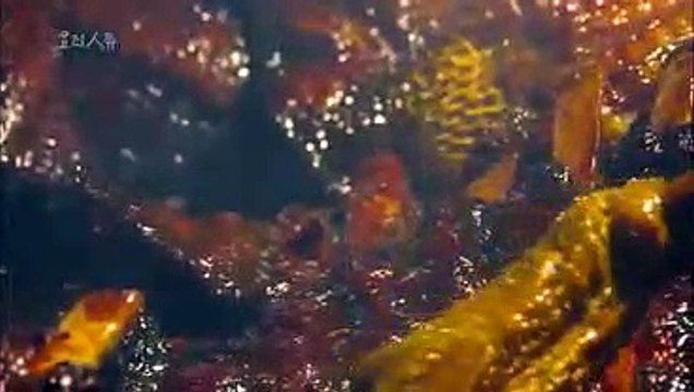 mlb해외배당／／ ＫＯＮ２０。ＣＯＭ ／／카지노바환전