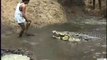Ils découvrent un énorme crocodile dans un fossé plein de boue