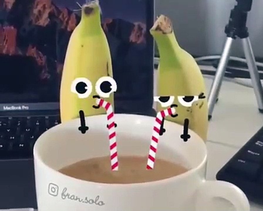 Fran solo cutefood