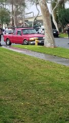 Driver Arrested After Crashing into Palm Tree, Fire Hydrant
