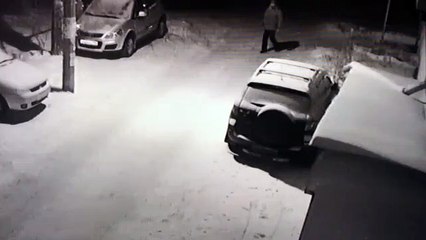 Dans l'intention de donner un coup de pied à un chien, il tombe et se frappe mal le visage