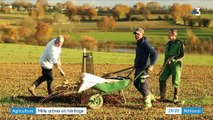Mayenne : pourquoi cet agriculteur a choisi de replanter 1 000 arbres avant de partir en retraite