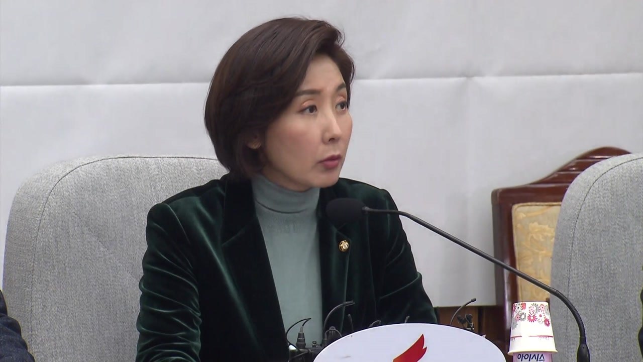 나경원 "민주당, 손혜원에 '셀프 면죄부'...상임위 소집요구" / YTN