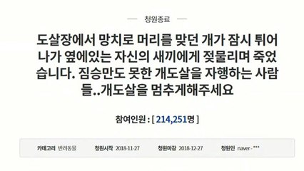 靑 "잘못된 정보 바탕한 국민청원 우려" / YTN