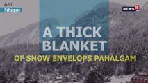 A Thick Blanket Of Snow Envelops Pahalgam