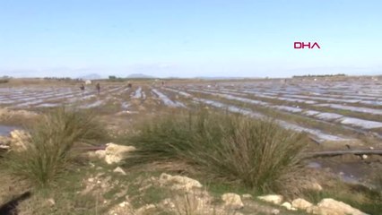 Adana Selin Zarar Verdiği Seralarda Zor Mesa