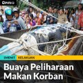 Buaya Peliharaan Makan Korban