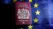 Portugal airports to introduce separate passport lanes for Brits after Brexit