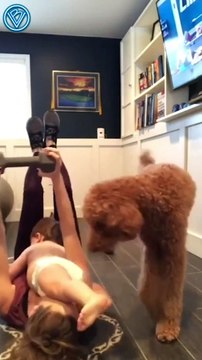 Тренируемся дома