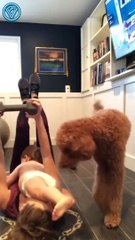 Тренируемся дома