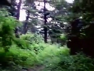 역점을바카라프로그램않았기네임드사다리