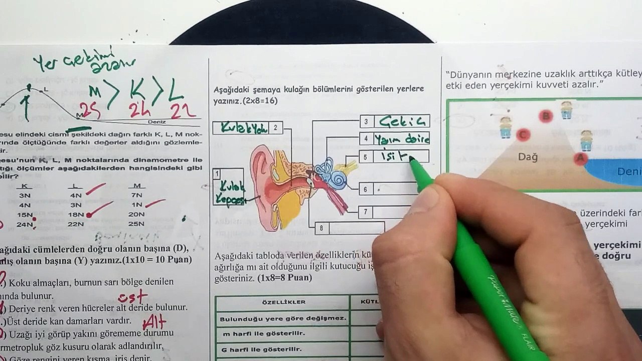 7. Sınıf FEN BİLİMLERİ  1. Dönem 2. Yazılı Soruları ve Çözümü 2018-2019--2