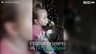 Jente og katt har et søtt vennskap