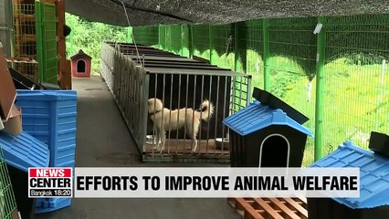 Punishment for animal abuse and abandonment to be reinforced