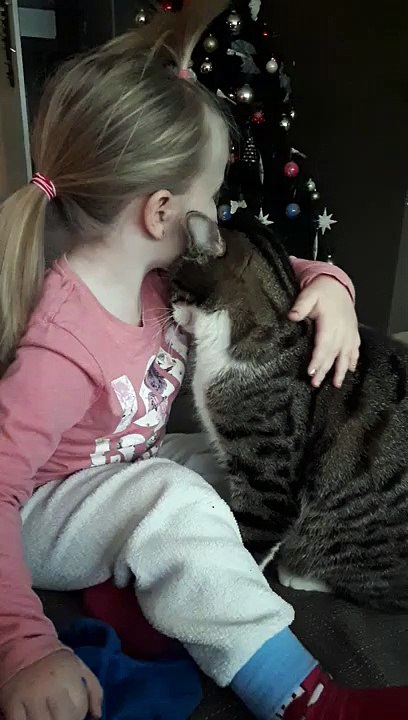 Moments de tendresse entre une petite fille et un chat