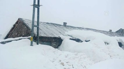 Besicilerin 3 Metrelik Kardaki Çetin Kış Mücadelesi