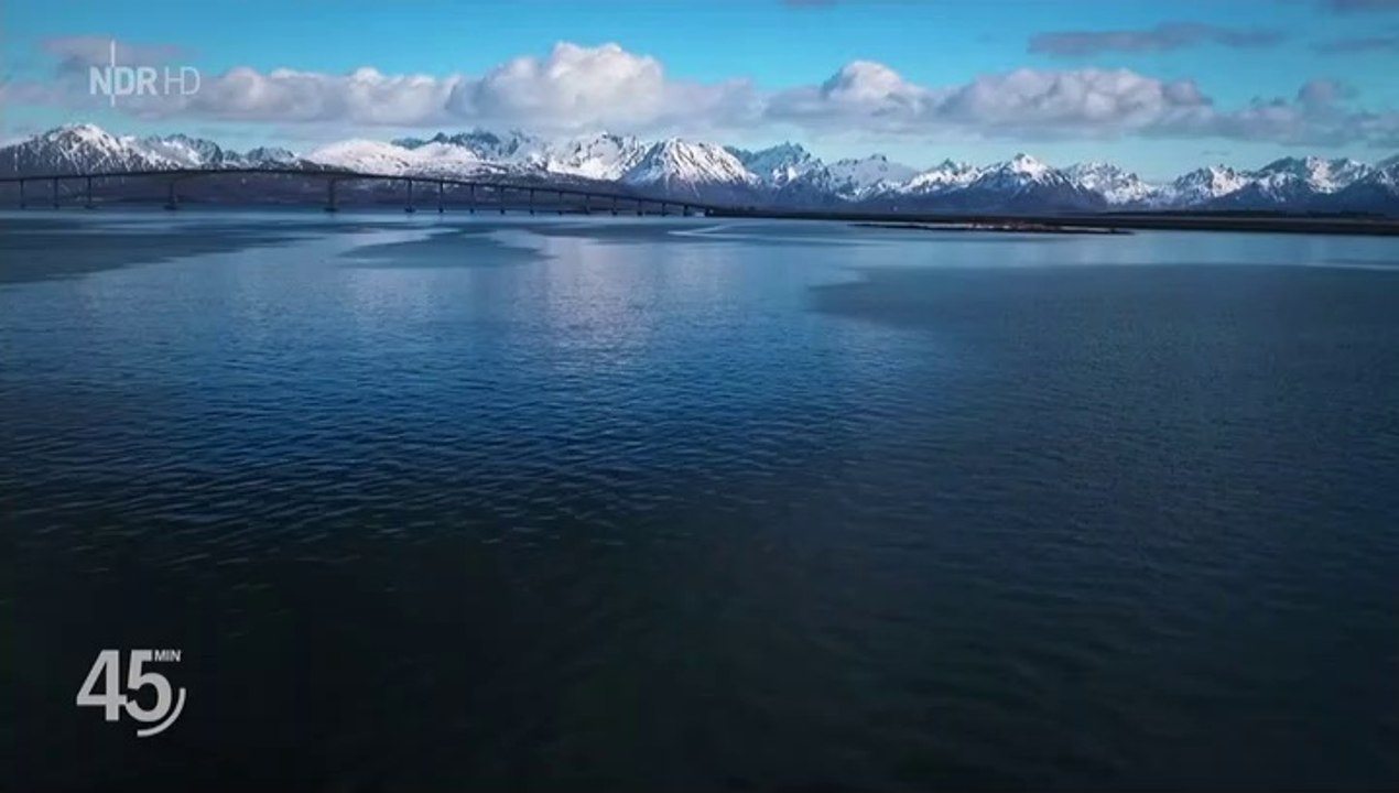 Die Lachs-Industrie