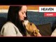 Girl who could die from any strong smell is saved by a specially-trained dog | SWNS TV