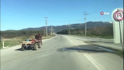 Sürücüsüz Ters Yöne Giden At Arabası Karayolunda Paniğe Neden Oldu