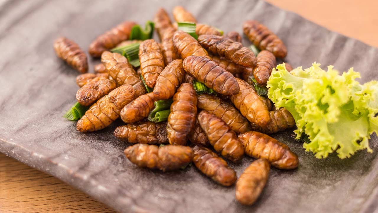 Planet retten: Insekten statt Steak auf dem Teller?