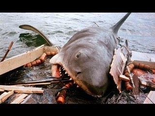 Jaws Blu Ray Trailer