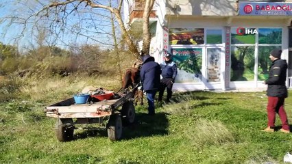 Sürücüsüz ters yöne giden at arabası karayolunda paniğe neden oldu