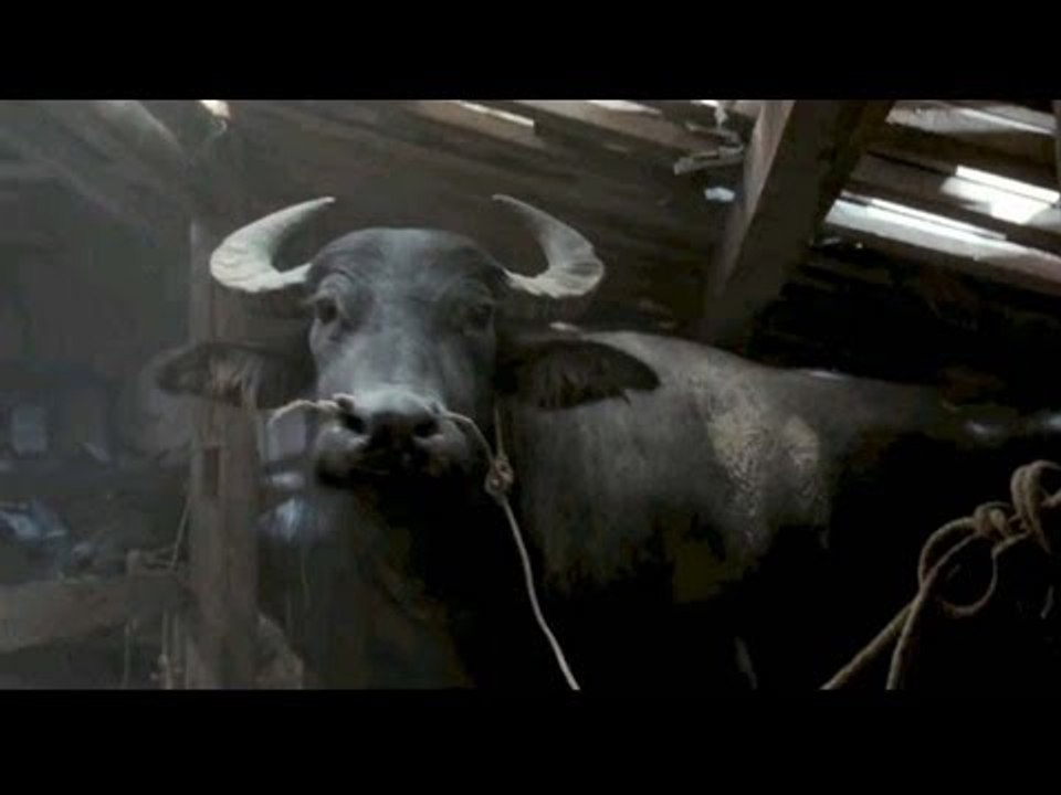 Dragon (Donnie Yen and Takeshi Kaneshiro)