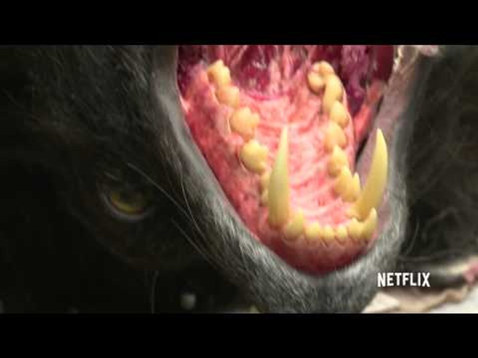 HEMLOCK GROVE  | Wolf Transformation Special | HD