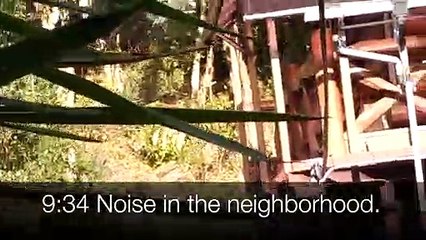 EDR January #18 2019  Noise Campaign