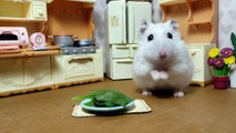 Stubborn hamster refuses salad, demands treats instead