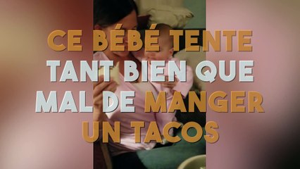 Ce bébé essaye tant bien que mal de manger un tacos !