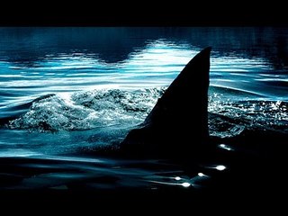 SHARK LAKE Trailer (Dolph Lundgren - 2015)