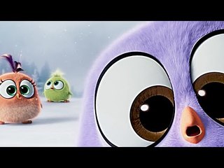 The Angry Birds Movie Viral CLIP