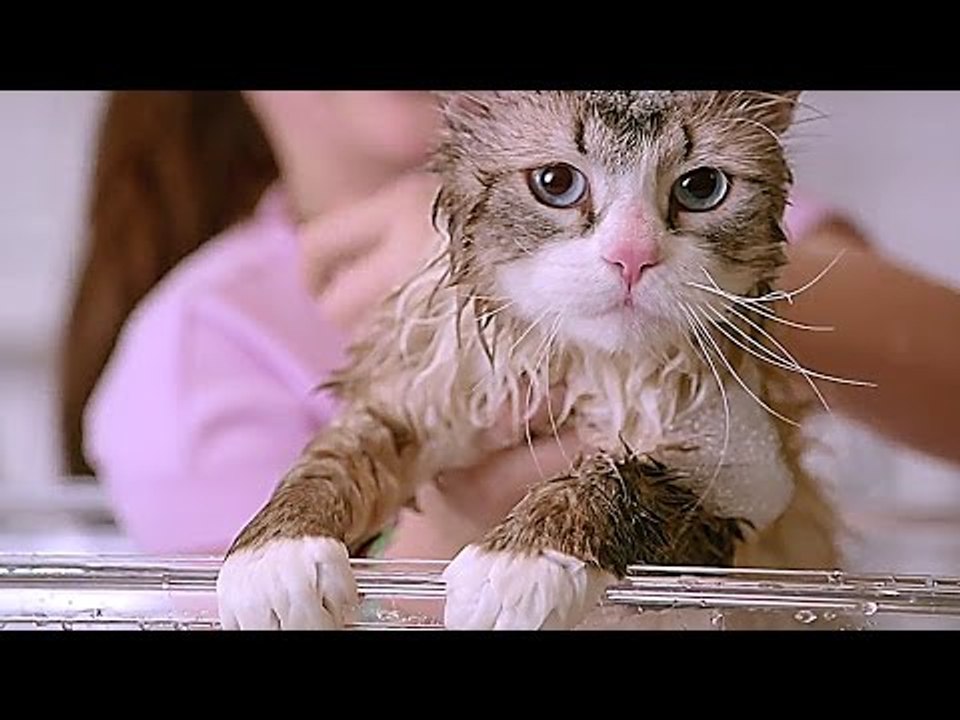 NINE LIVES Trailer (Kevin Spacey, Christopher Walken)