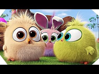 The HATCHLINGS The Movie - ANGRY BIRDS