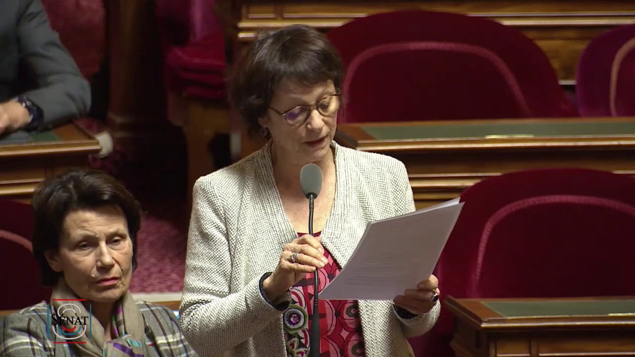 Nadine Grelet-Certenais : question d'actualité du 17 janvier 2019