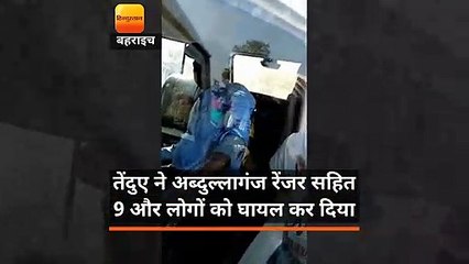 Download Video: यूपी: तेंदुए ने रेंजर सहित 12 लोगों को किया घायल