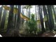 Disney's PETE'S DRAGON - NEW Immersive 360° 4K Video (2016)