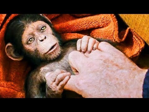 Human Get Sick, Ape Get Smart Trailer - The Planet Of The Apes 3 (2017)