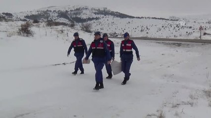 Jandarmadan Yaban Hayvanlarına Yiyecek