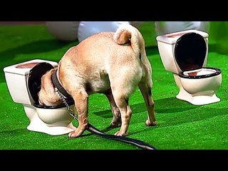 SHOW DOGS Extended TRAILER (Family Comedy, 2018)
