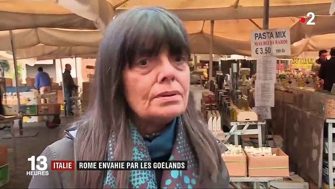 Rome : la ville fait la guerre aux goélands