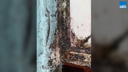 Le collectif des habitants du Mercure dénonce la vétusté de son immeuble