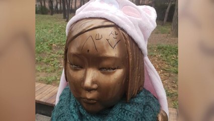 대구 평화의 소녀상에 낙서한 50대 검거 / YTN