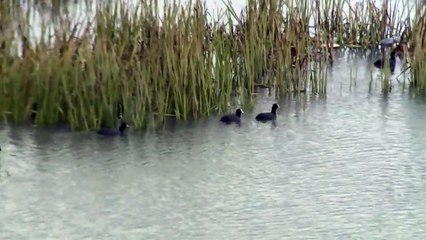 Iran : la renaissance progressive de l'ancien plus grand lac salé du Moyen-Orient