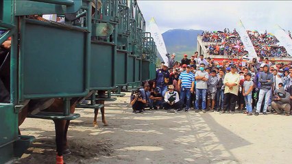 فرسان صغار يتنافسون في سباق تقليدي للخيل في إندونيسيا